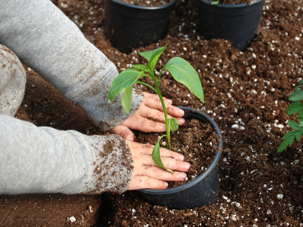 Untitled design (27)